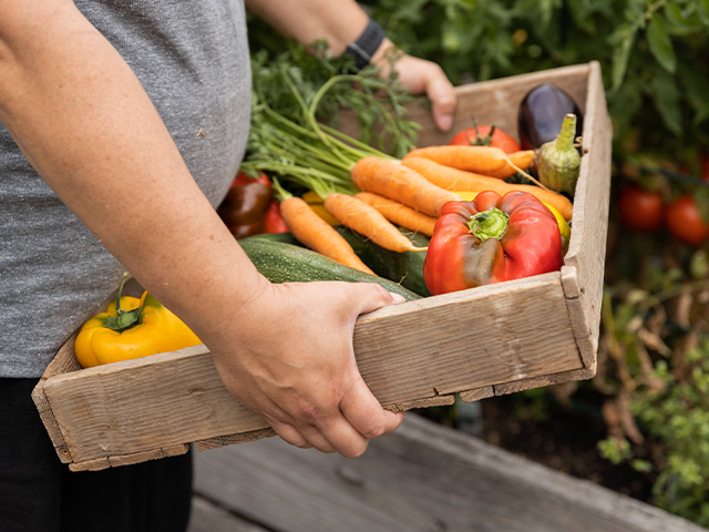 person holding wooden tray of harvested vegetables