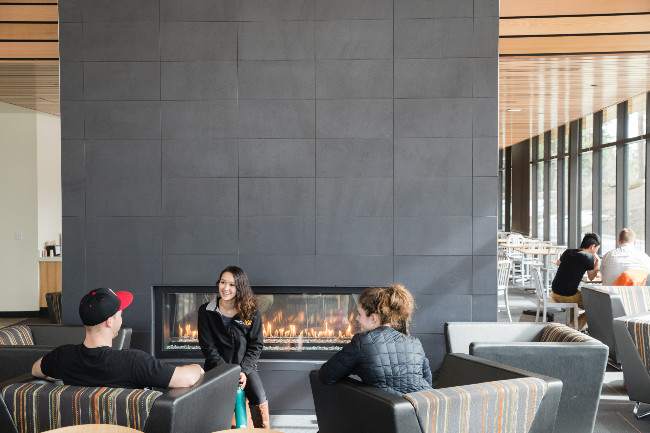 people in armchair sitting next to a large stone fireplace