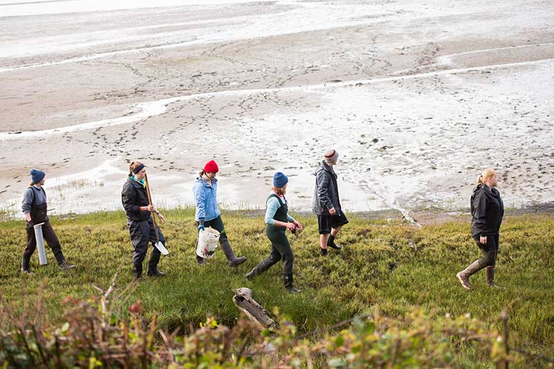 people walking on grass with buckets near the beach